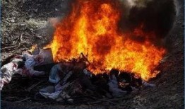 鬼乡电影手机在线观看,揭秘神秘村落，手机在线惊悚体验