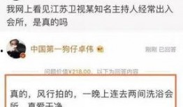 卓伟爆料谁出名了啊视频,揭秘近期娱乐圈热点人物